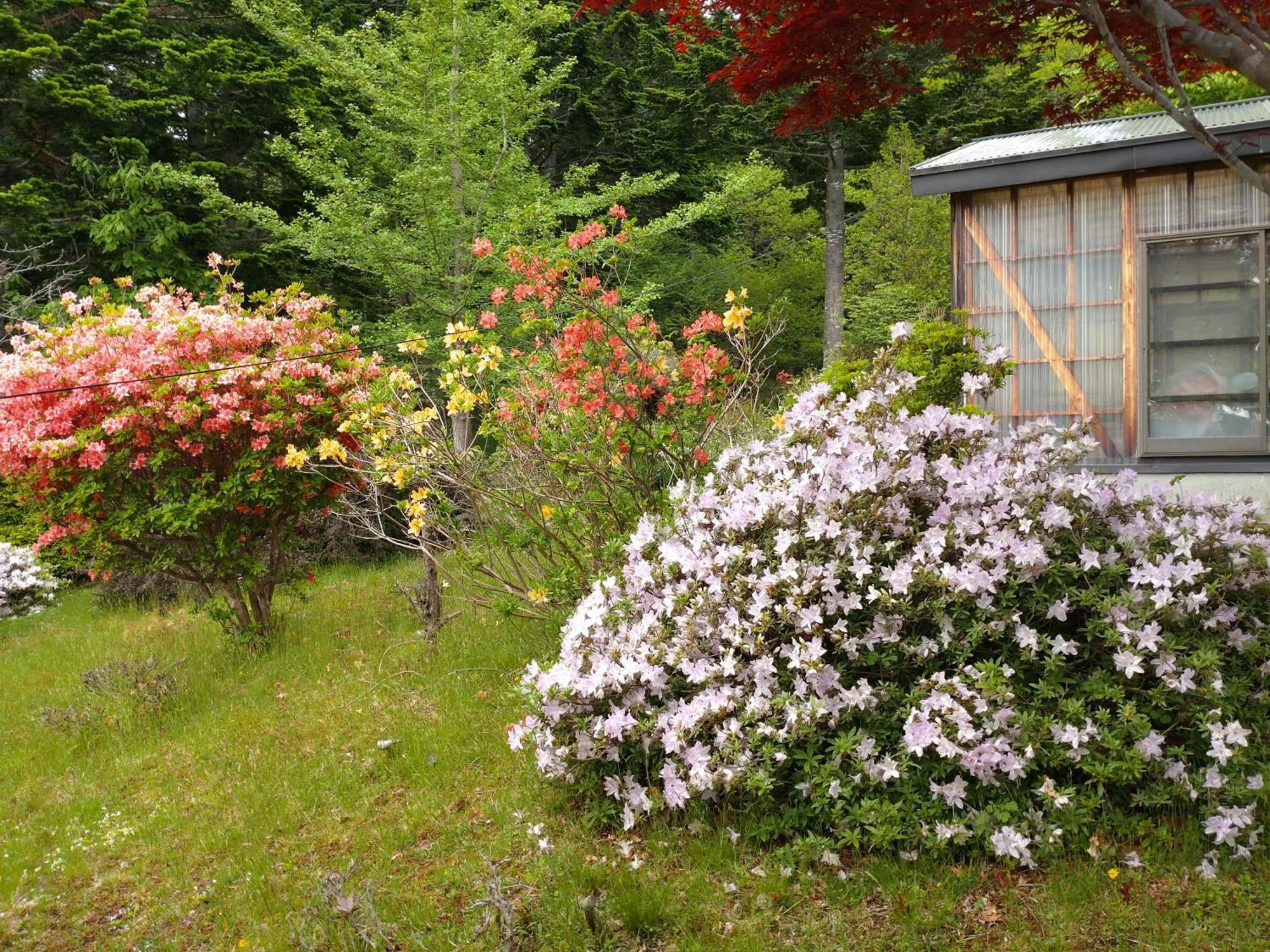 Noboribetsu No Mori Villa Eksteriør bilde